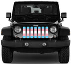 Transgender Flag Grille Insert