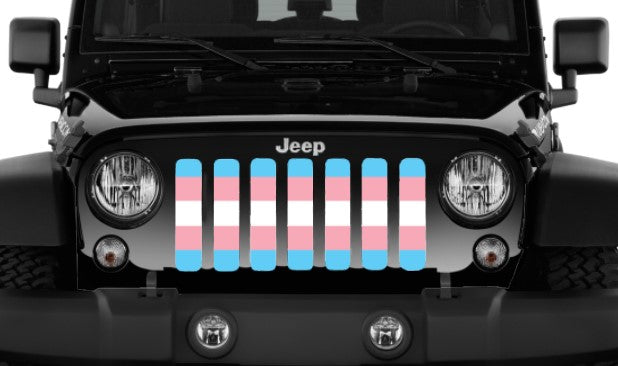 Transgender Flag Grille Insert
