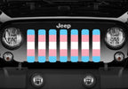 Transgender Flag Grille Insert