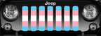 Transgender Flag Grille Insert