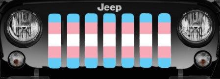 Transgender Flag Grille Insert