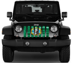Washington Grunge State Flag Grille Insert