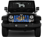 Waving Delaware State Flag Grille Insert