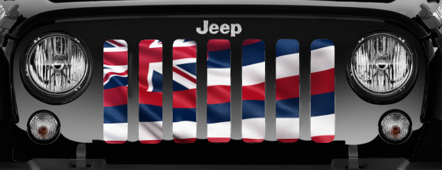 Waving Hawaii State Flag Grille Insert