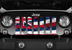 Waving Hawaii State Flag Grille Insert