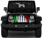 Waving Italian Flag Grille Insert
