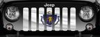 Waving Massachusetts State Flag Grille Insert