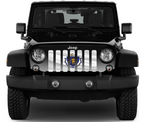 Waving Massachusetts State Flag Grille Insert