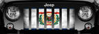 West Virginia Grunge State Flag Grille Insert
