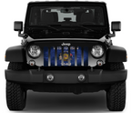 Wisconsin Grunge State Flag Grille Insert