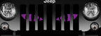 Chaos Purple Eyes Grille Insert