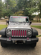 Solid Bright Pink Grille Insert