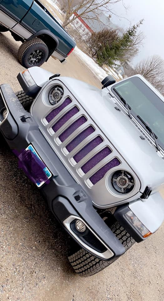 Purple Fleck Print Grille Insert