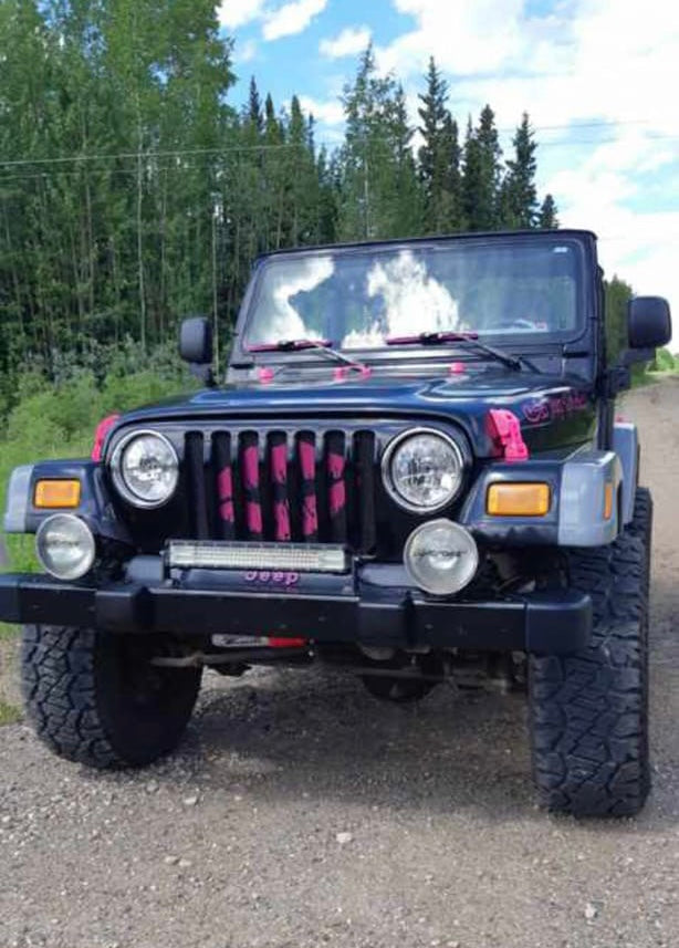 Kiss Grille Insert