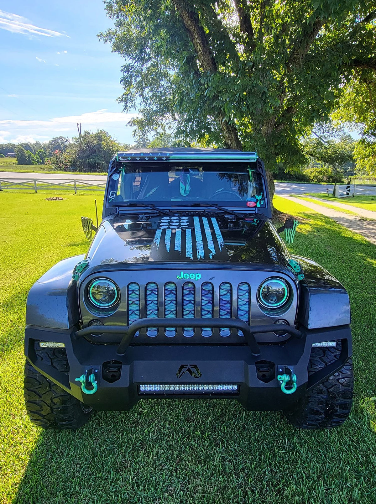 Mermaid Scales Blue & Purple Grille Insert