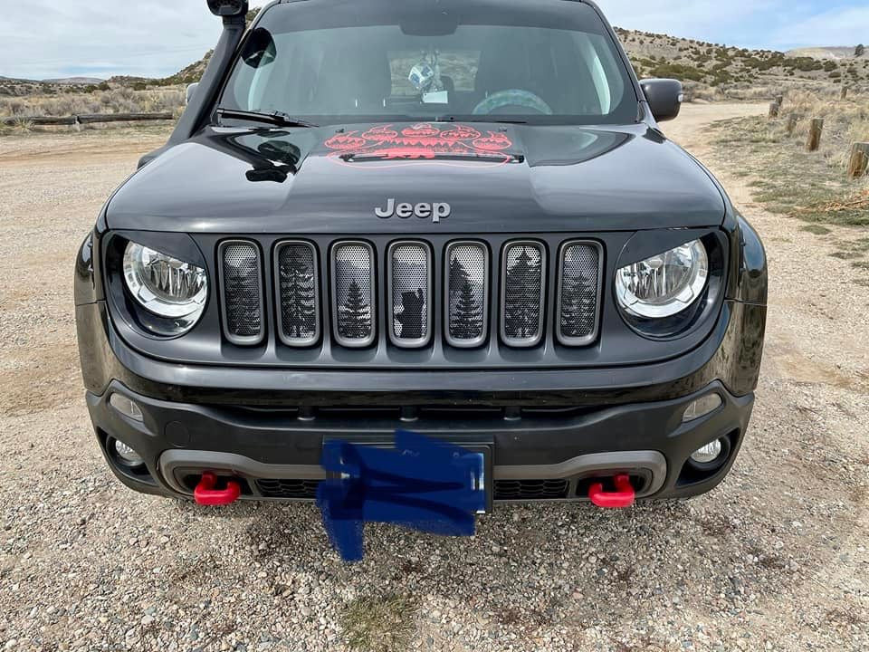 Mountain Bear Grille Insert