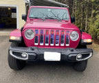 Hiker Purple Mountain Grille Insert