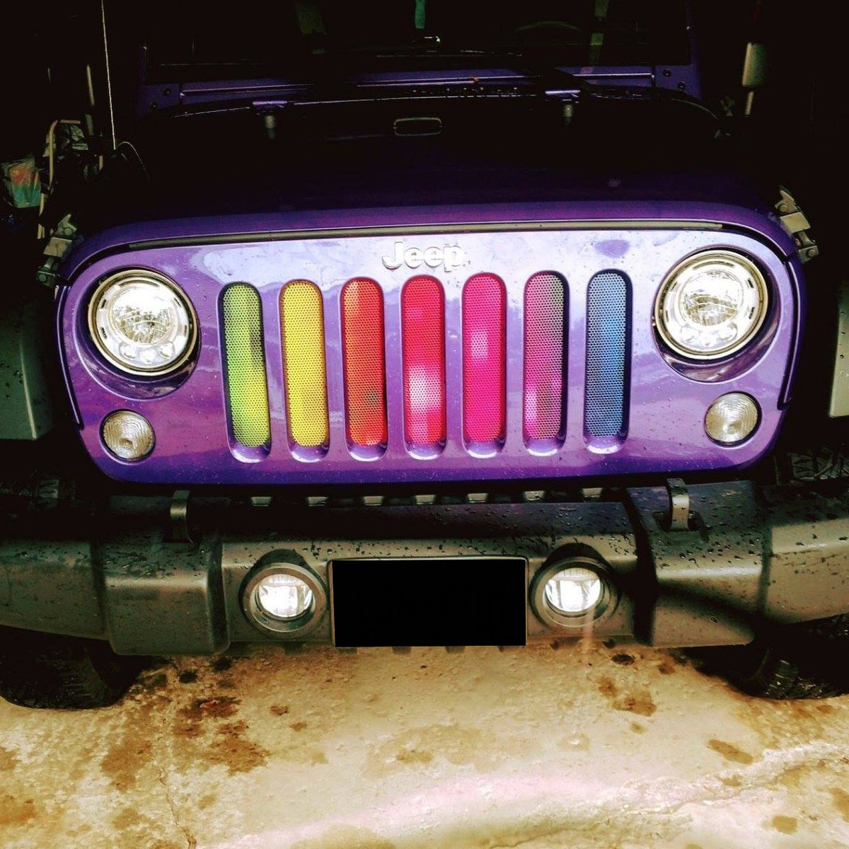 Pixelation Grille Insert
