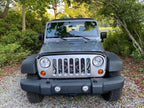 Tiki Bob Blue Hawaii Grille Insert